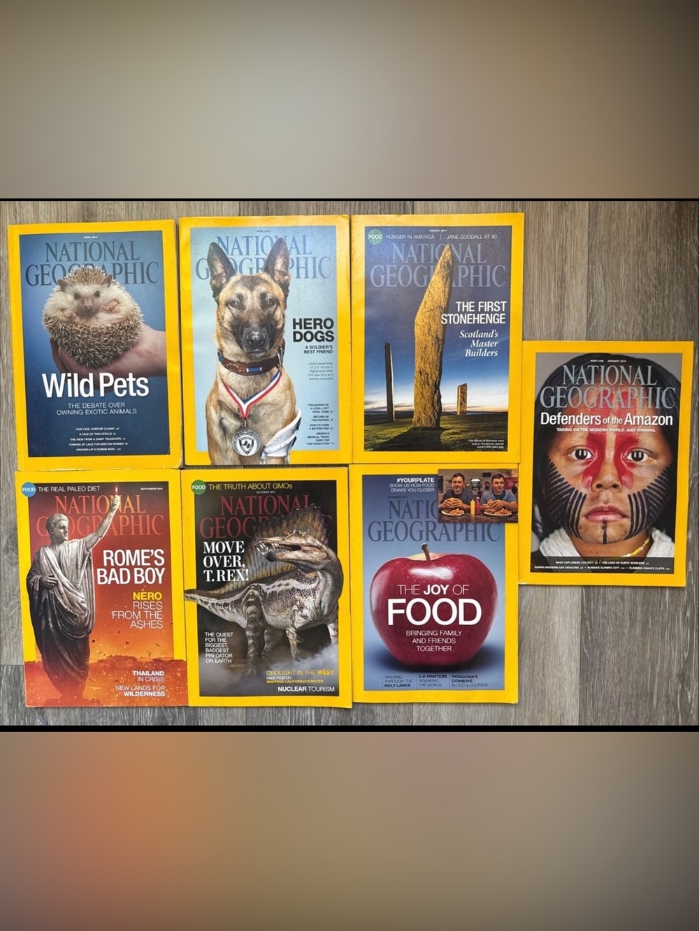 National Geographic Magazine 2014 Lot of 7 Stonehenge Wild Pets Rome Amazon Dogs